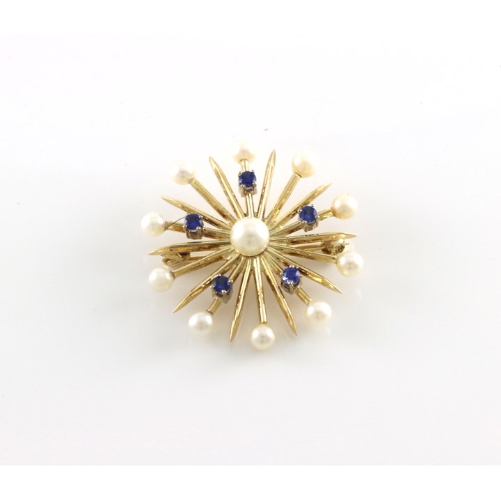 En mer sjelden variant av Sonja-brosjen. Kombinert anheng/brosje. Homstvedt, Bergen