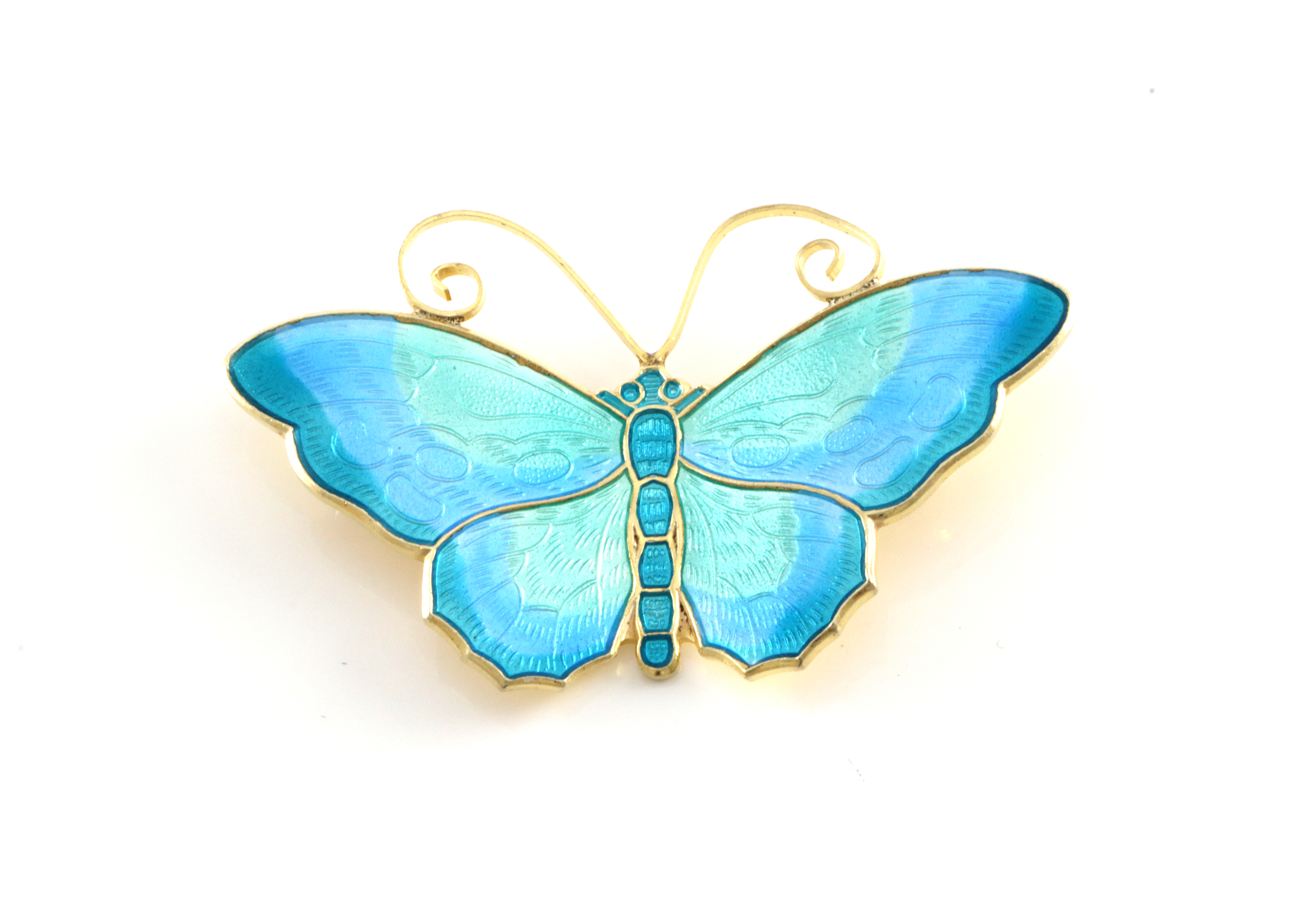 Emaljert brosje i s&#248;lv